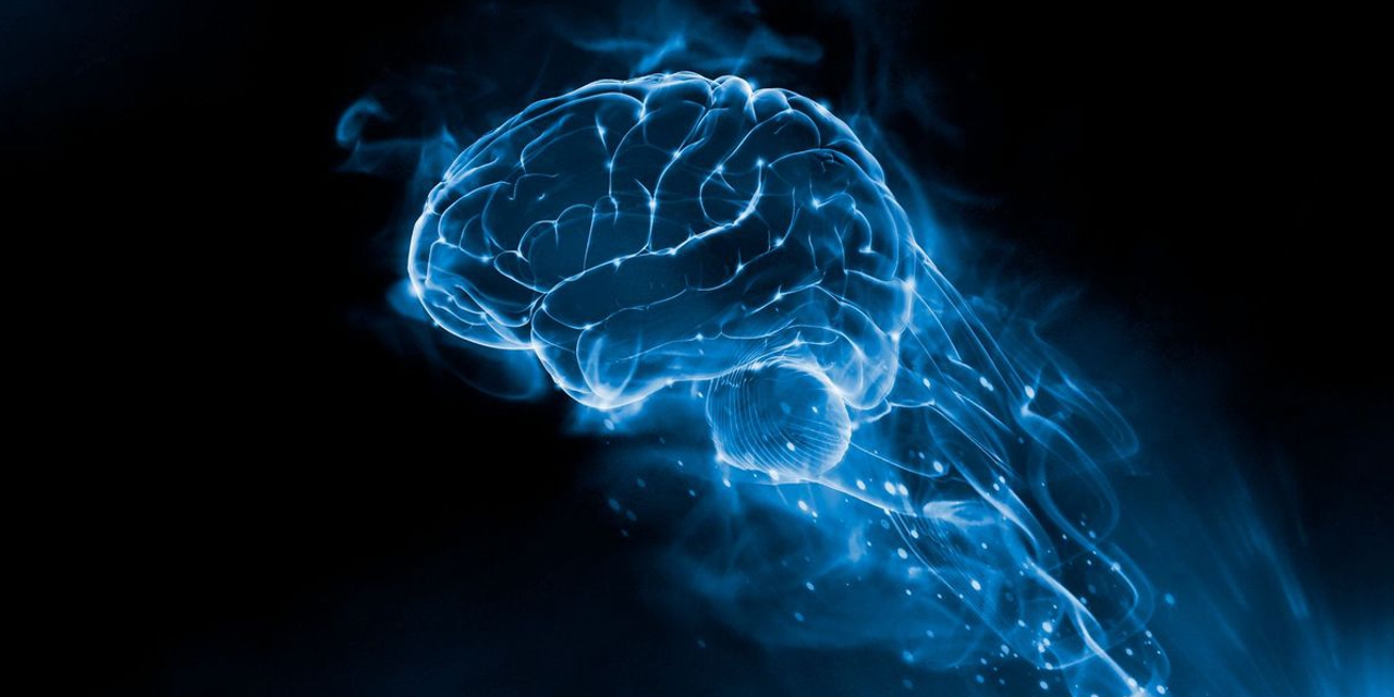 22.07.2020 Москва. ФГБУ «Федеральный центр мозга и нейротехнологий» ФМБА России