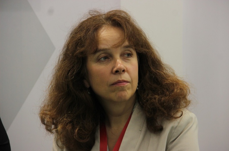 Е.Тополева: необходимо уточнить понятие «иностранные источники» в законе о НКО