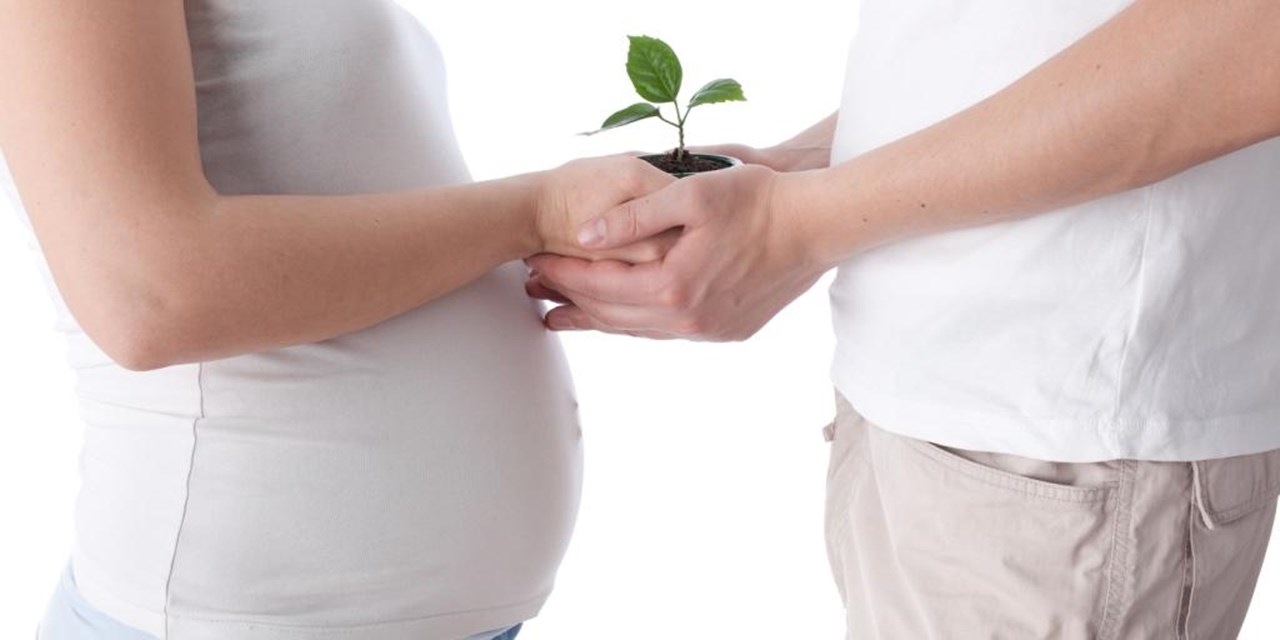 17.09.2024 Репродуктивное здоровье — важнейший приоритет