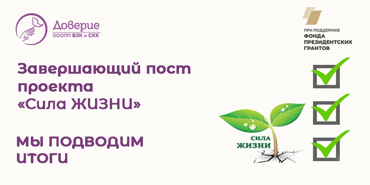 23.07.2024 Проект «Сила ЖИЗНИ». Мы подводим итоги