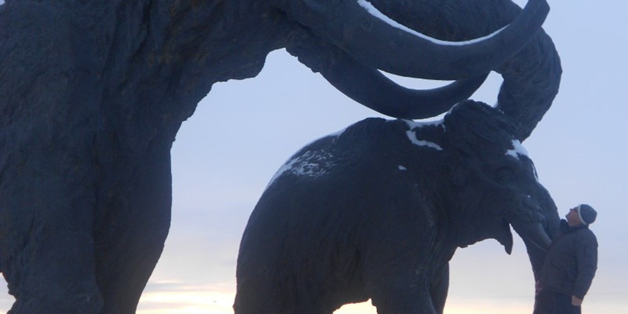 29.11.2012 Киров. Как я видел мамонтов