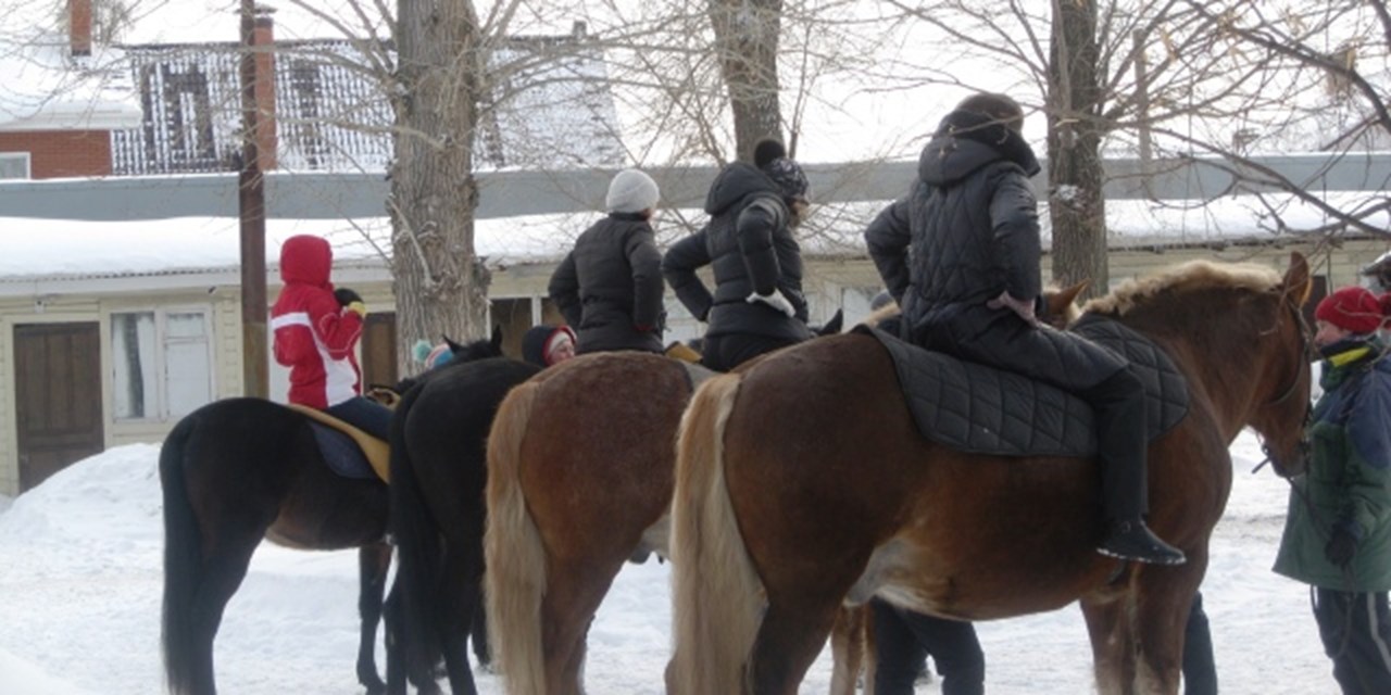 28.02.2021 Иппотерапия в мороз идет полным ходом!