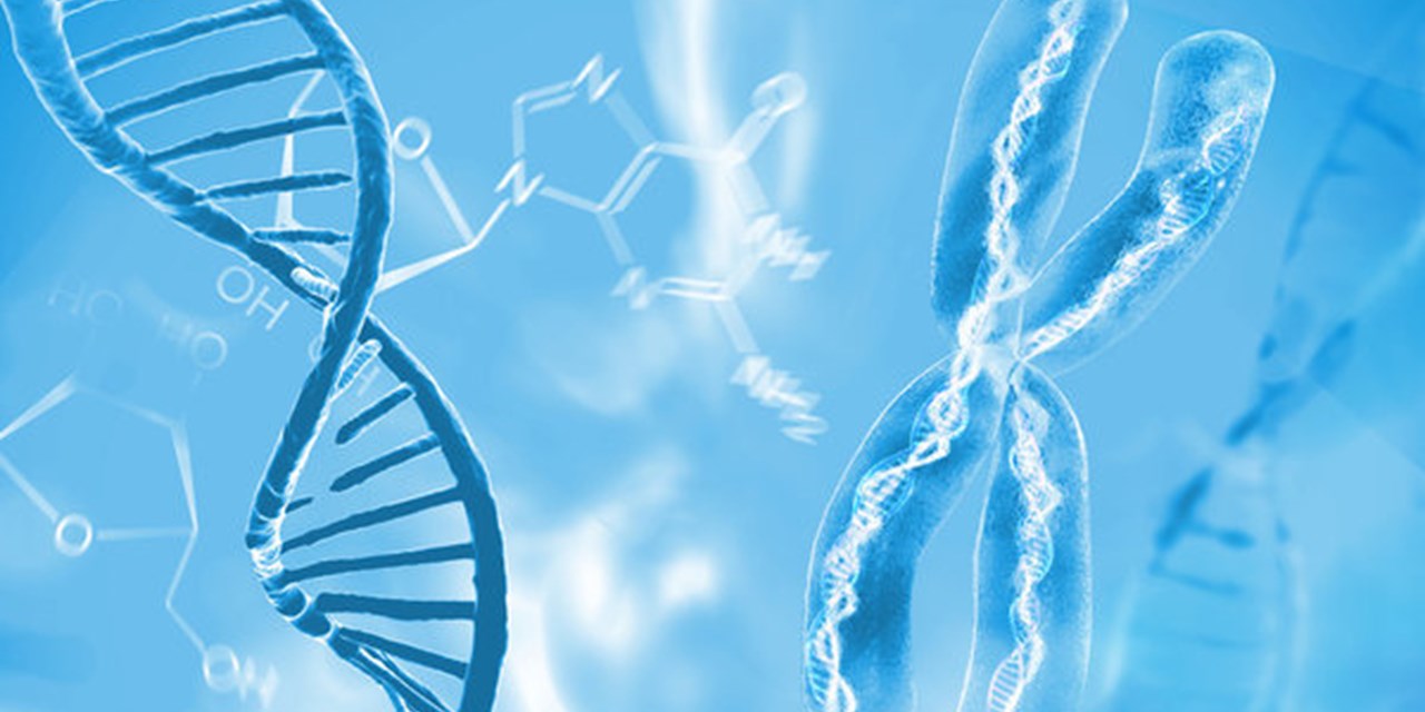 В День редких болезней фонд «ПОДСОЛНУХ» приглашает на дискуссию «Орфанный пациент: семейный контекст»