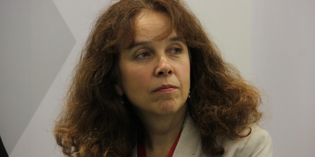 Е.Тополева: необходимо уточнить понятие «иностранные источники» в законе о НКО